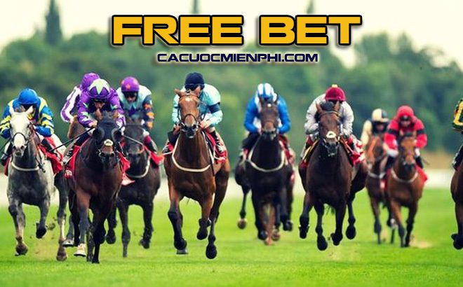 Hướng dẫn gửi và rút tiền an toàn tại Ngân hàng 18Bet - 18Bet