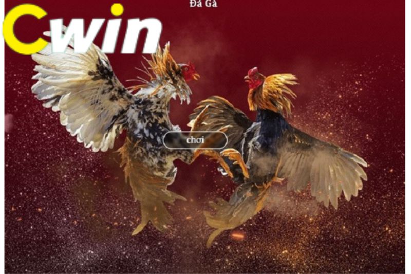 Câu chuyện về vụ lừa đảo Max88 - Max88