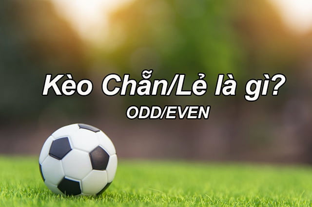 Vvvwin là công ty game uy tín nhất, đứng đầu trong số các công ty game hàng đầu - Vvvwin