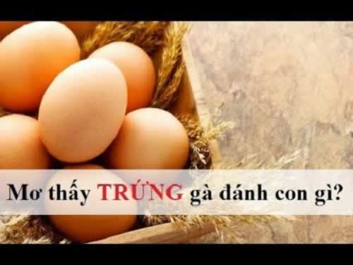 Nhà phát triển trò chơi sẽ tặng 50000 token Hr99 - Hr99