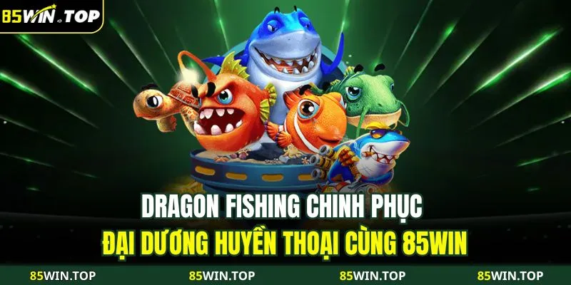 Tỷ lệ cược và kèo cá độ của Công ty 85Win Gaming - 85Win
