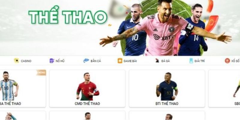 Hiện có những hình thức cá cược nào dành cho các trận đấu đá gà cấp độ K88? - K88