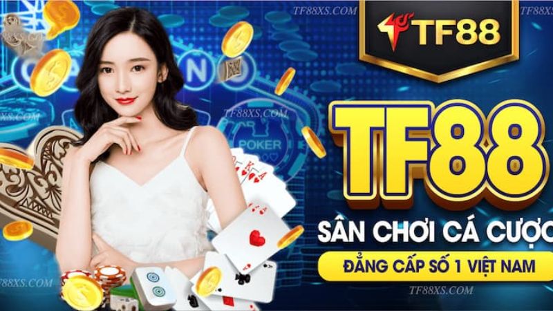 Thông tin và tiêu chuẩn của Kubet - Kubet