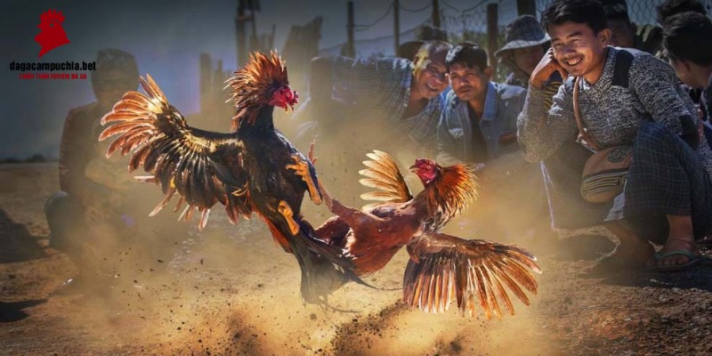 Có nhiều kinh nghiệm trong việc giành được tiền thưởng tại Vin77 Entertainment - Vin77