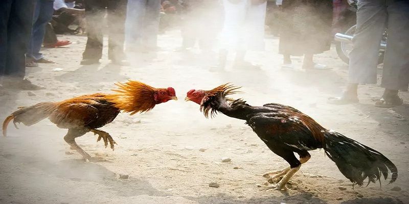 Lk88 mang đến cơ hội kiếm thu nhập không giới hạn - Lk88