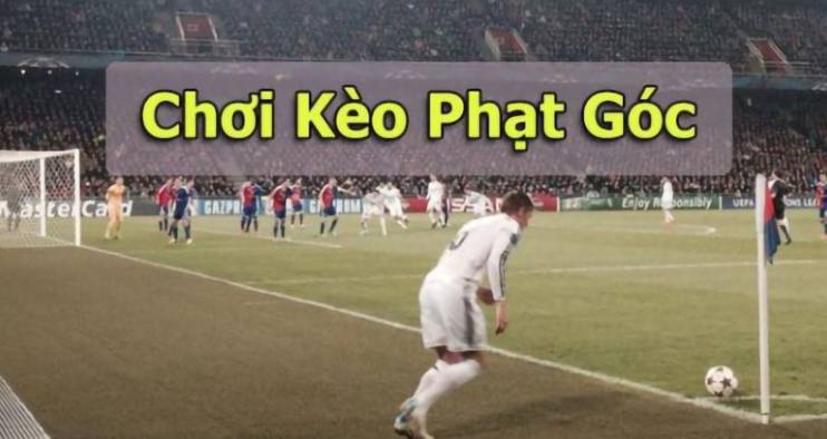 Df999 UM Financial Services có mối liên hệ mật thiết hơn với lĩnh vực thanh toán và trò chơi trực tuyến - Df999