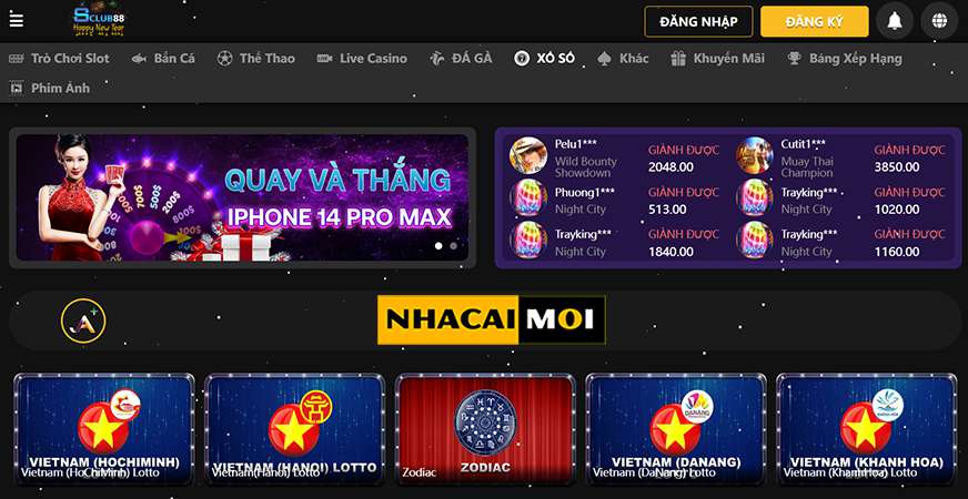 Gà trống sống loại Sum99 - Sum99