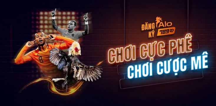 Lý do tại sao người chơi nên tham gia các trang web game cấp Ku11 - Ku11