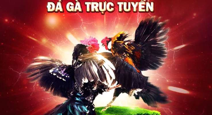 Trò chơi thẻ bài thưởng cao cấp cấp Sin88 năm 2026 - Sin88