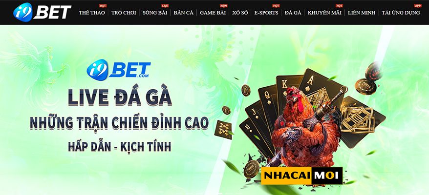 Đạt chuẩn Jdb777, với danh tiếng xuất sắc và chất lượng tuyệt vời - Jdb777
