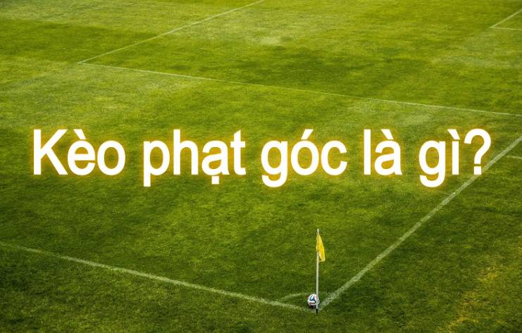 Đăng ký tài khoản để nhận ngay phần thưởng 133000 từ Vnq8 - Vnq8